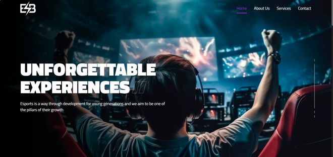 DPC取消后全新第三方DOTA2联赛公布卡塔尔来到台前 电竞世界(图2)