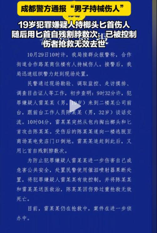 工资4000多只给94成都男子网吧持刀怒杀中介后自杀太极端了！(图5)