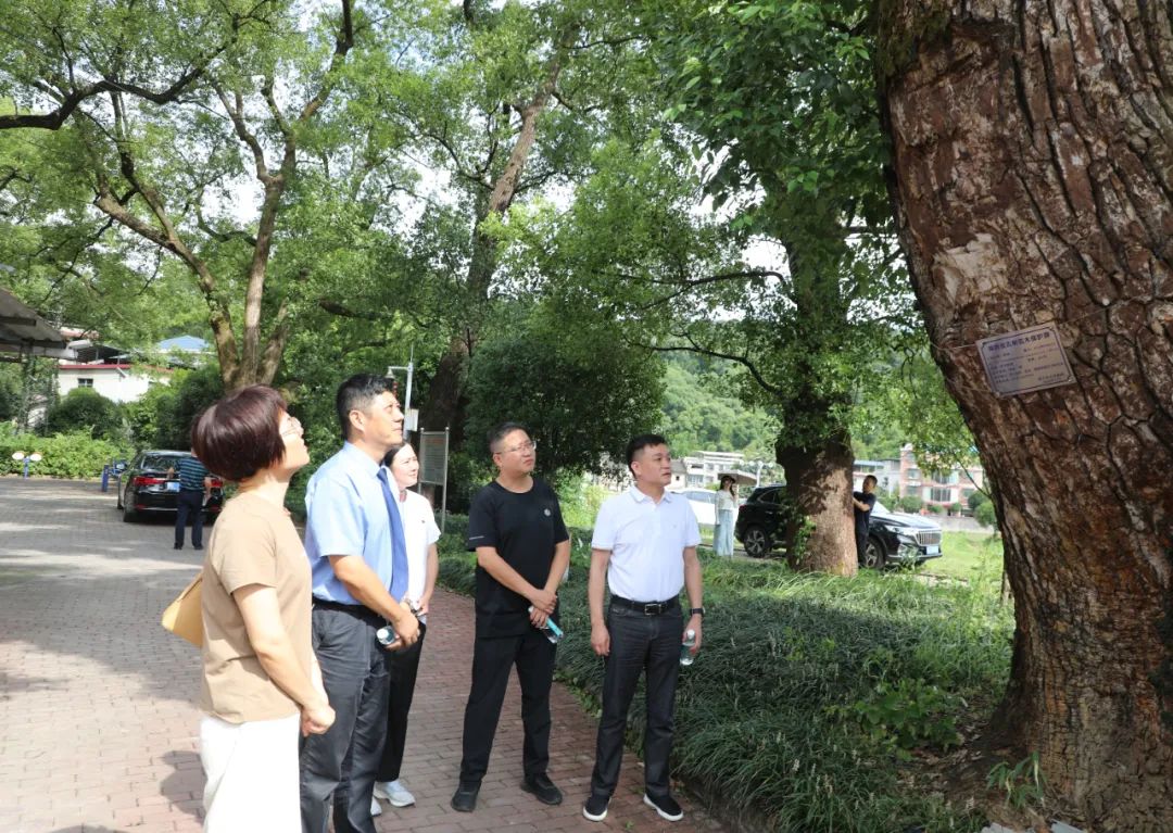 “检”述一年丨有效监督 共同发力——郴州检察机关以提升履职效果为追求加快建设法律监督工作现代化(图2)