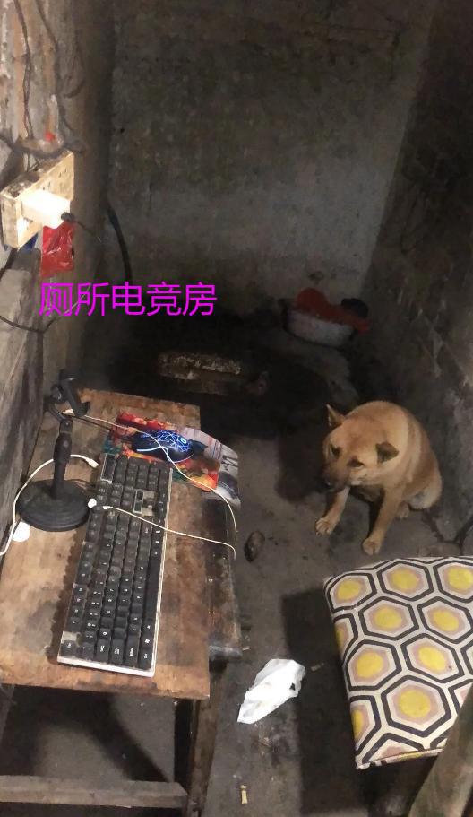 厕所里有电竞房！广西男子一人一狗组成家外甥：他父母都不在了