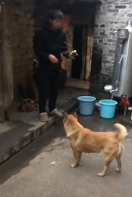 厕所里有电竞房！广西男子一人一狗组成家外甥：他父母都不在了(图5)