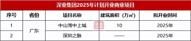 华润、龙湖、新城19家商业企业2025年开业计划曝光(图16)