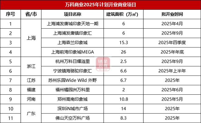 华润、龙湖、新城19家商业企业2025年开业计划曝光(图19)