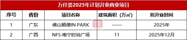 华润、龙湖、新城19家商业企业2025年开业计划曝光(图21)