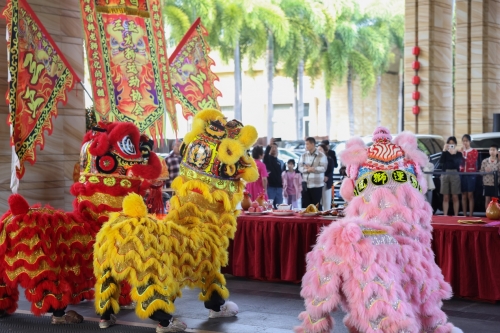 三亚海棠湾万达嘉华度假酒店大年初一舞狮贺新春 祥瑞醒狮舞动蛇年新气象