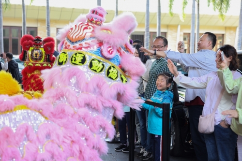 三亚海棠湾万达嘉华度假酒店大年初一舞狮贺新春 祥瑞醒狮舞动蛇年新气象(图2)