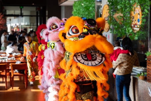 三亚海棠湾万达嘉华度假酒店大年初一舞狮贺新春 祥瑞醒狮舞动蛇年新气象(图3)
