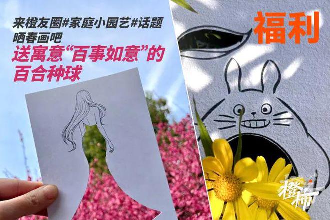 杭州市民卡臻礼兑换券、石矶娘娘冰箱贴、五星酒店自助餐券……橙柿送好礼(图3)