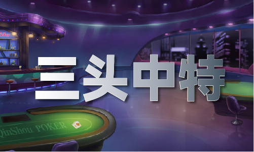 新码王论坛6500558