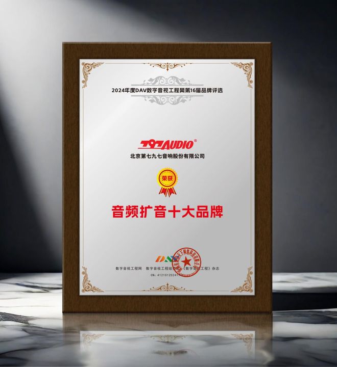 喜讯来袭！ DAV01“2024年度音频扩音十大品牌”名单公布！(图9)