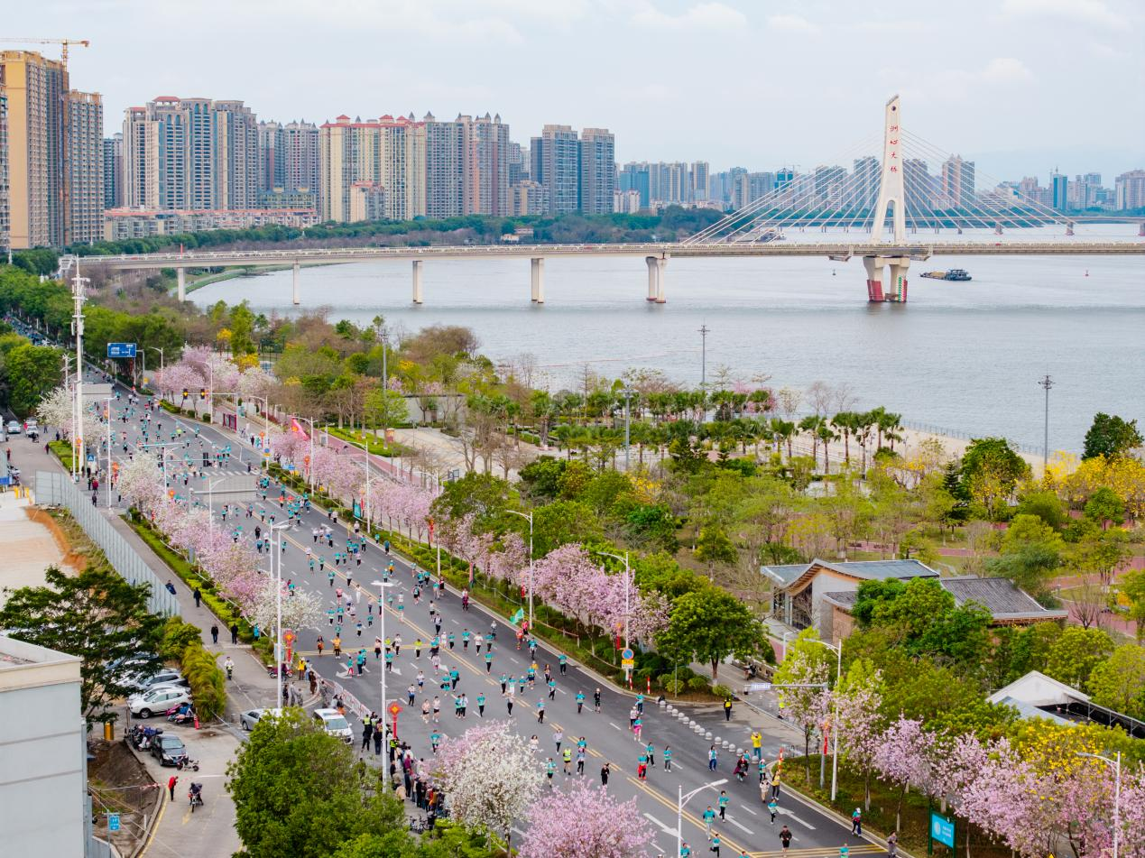 汇聚23万名跑者清远好风土·2025清远马拉松赛开春起跑(图2)