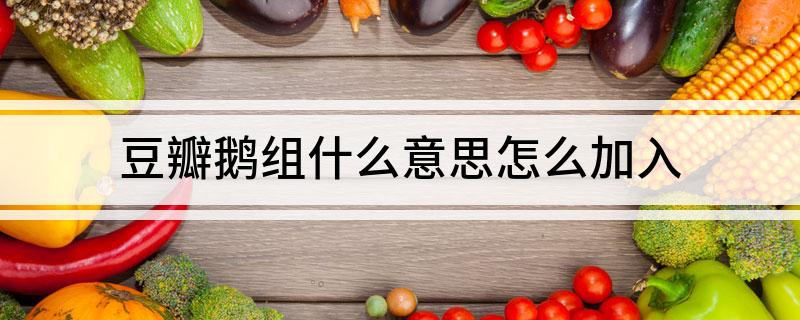 豆瓣鹅组什么意思怎么加入