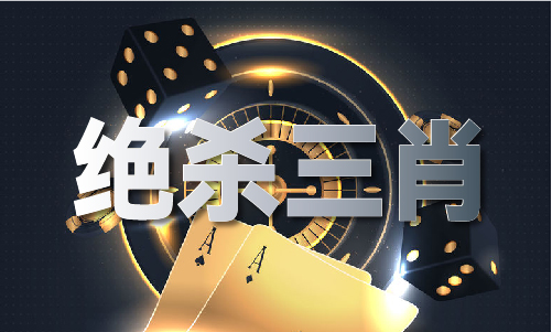 23077小鱼玄机