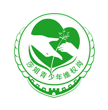 最高检发布《未成年人检察工作白皮书（2024）(图25)