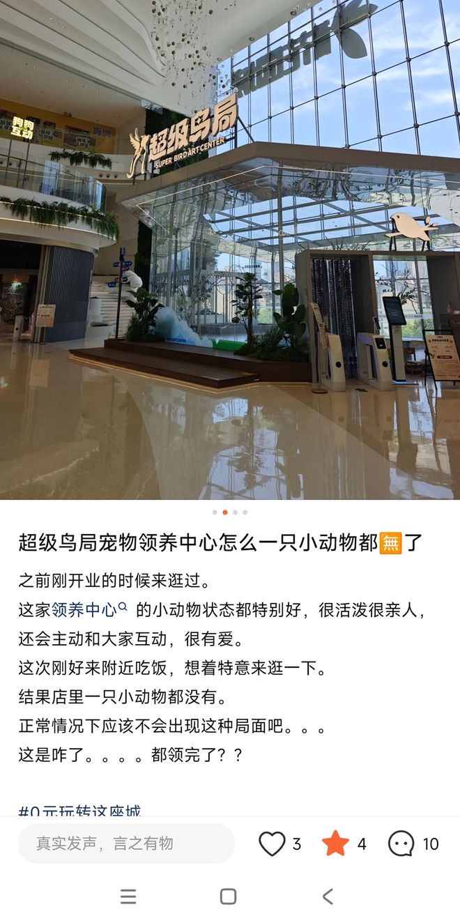 仅剩2店！“中国最大宠物店”超级鸟局不行了？(图6)