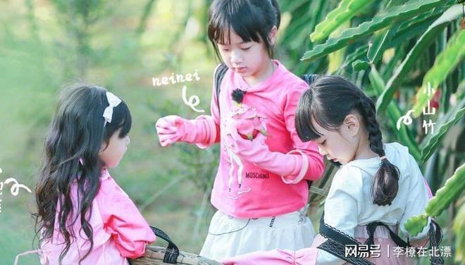 终于出手整顿！这5个综艺节目被强制停播没有一个是无辜的(图3)