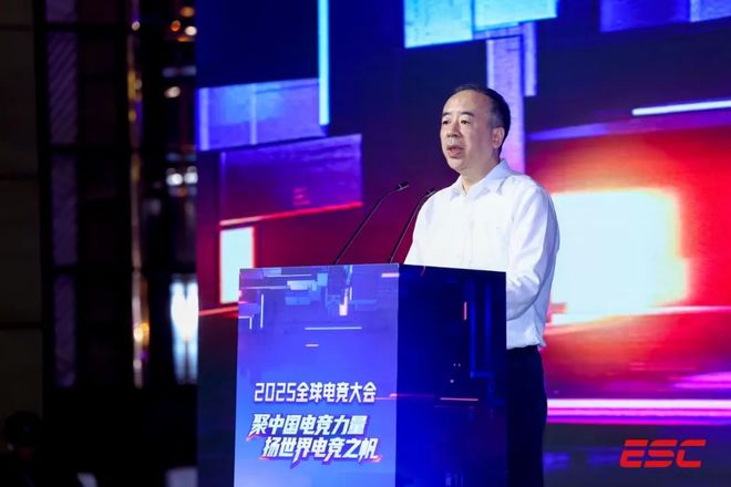 聚中国电竞力量扬世界电竞之帆——2025全球大会成功举办(图3)