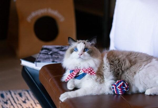 海南清水湾金普顿酒店演绎多元奢华旅居体验(图2)