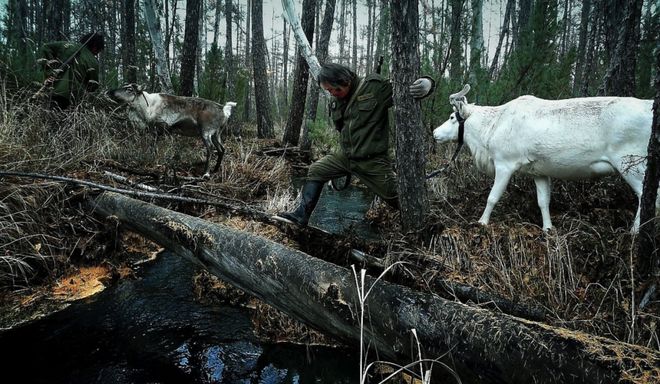 798CUBE｜长生天有一万只眼睛-顾桃纪录片创作二十周年回顾展(图4)