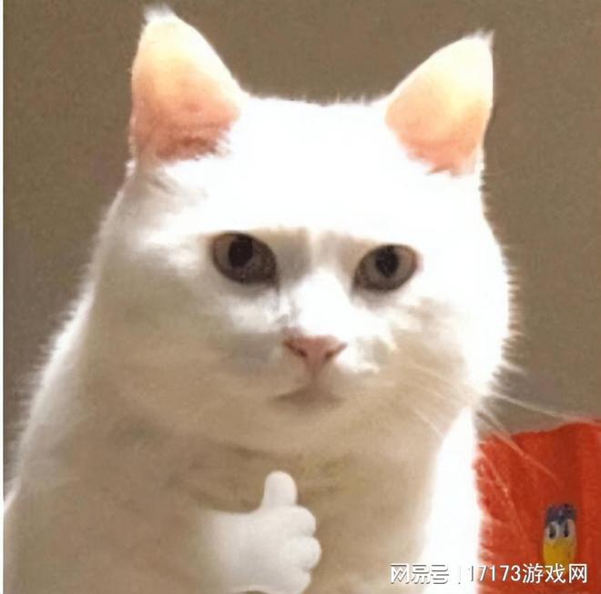 中国网游圈最火的“六字真言”竟是翻译闹的乌龙？(图20)