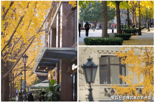 古北99(古北99售楼处)首页网站-营销中心-欢迎您-楼盘详情-最新价格-户型图-容积率(图4)