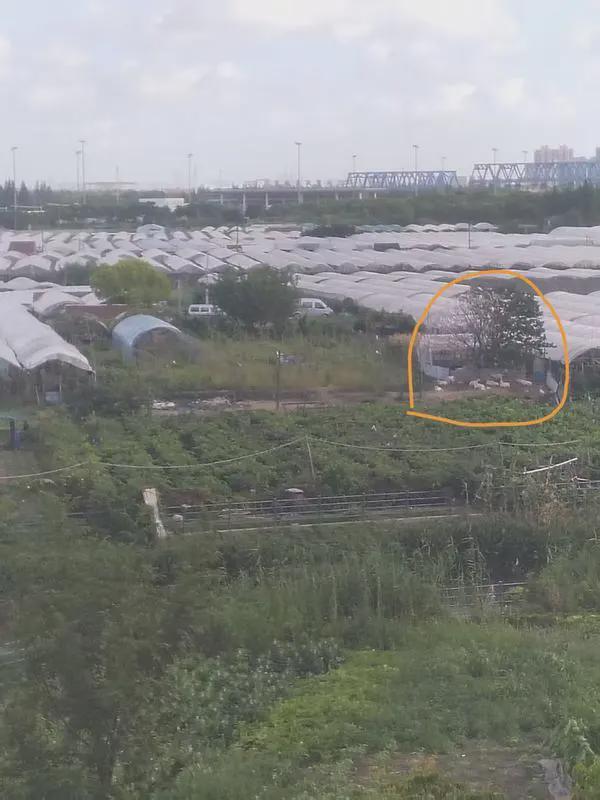 市民投诉“难以忍受”相关回应“没有的事”！沪上两区交界处引发“异味之争”→