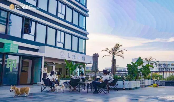 厦门社区商业新样本：从城市发展脉搏看拾尚里的创新之路(图4)
