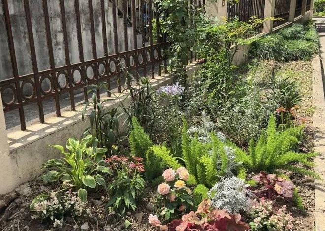 小区长出了“一尺花园”！社区“边角料”还能这么变？(图5)