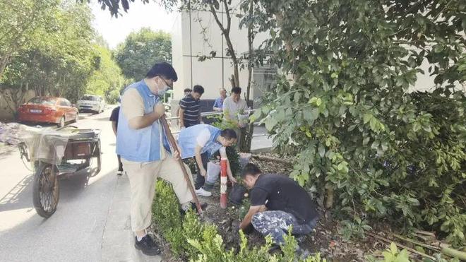 小区长出了“一尺花园”！社区“边角料”还能这么变？(图4)