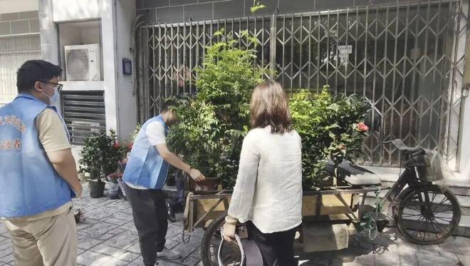 小区长出了“一尺花园”！社区“边角料”还能这么变？(图2)