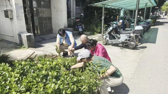 小区长出了“一尺花园”！社区“边角料”还能这么变？(图3)