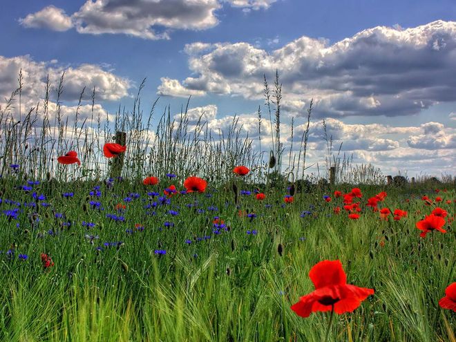 情商在线不内耗社交轻松赚外快的3大生肖生活越活越舒坦！
