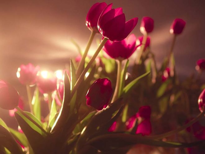 情商在线不内耗社交轻松赚外快的3大生肖生活越活越舒坦！(图2)