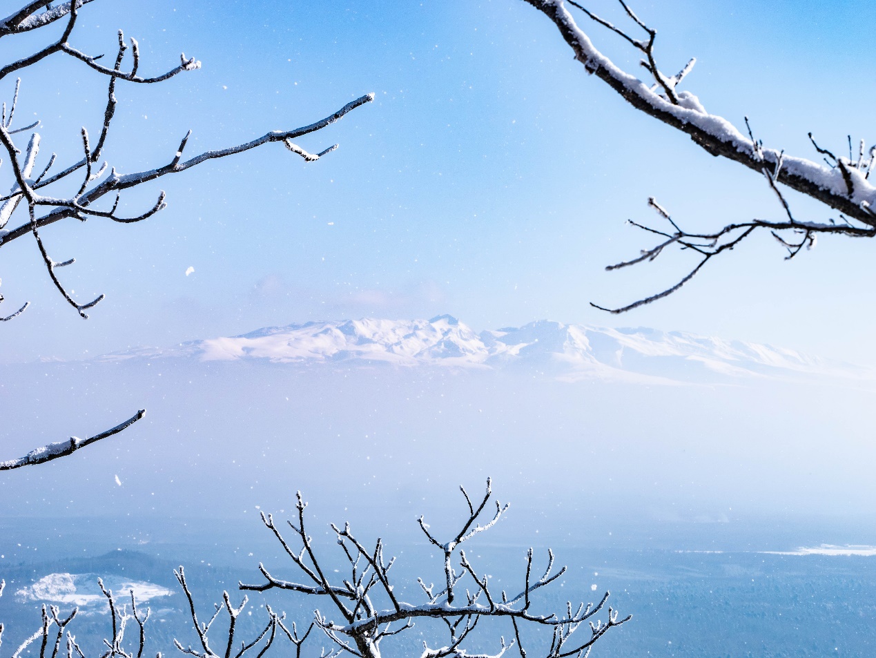 长白山万达国际度假区双十二售卖完满落幕