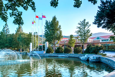 四川电竞产业总产值达1206亿元 活跃用户增至4257万人