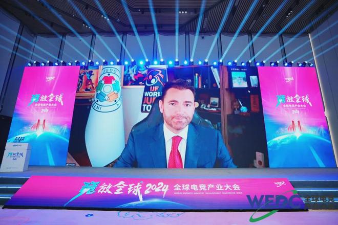 共线全球电竞产业大会“竞”蓉城(图13)